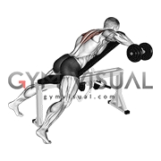 incline dumbbell flyes