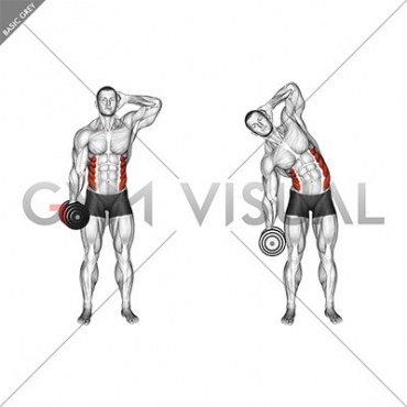 Dumbbell Side Bend  Illustrated Exercise Guide