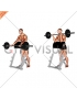 Barbell Spider Curl