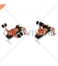 Dumbbell Twisted Fly