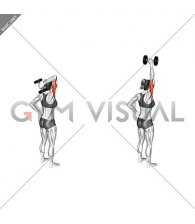 Dumbbell One Arm Triceps Extension (female)
