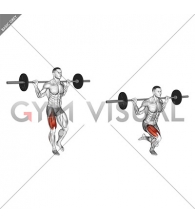 Barbell Single Leg Squat