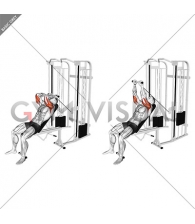 Cable Incline Skull Crusher