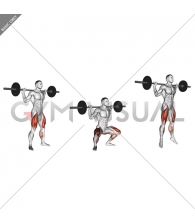 Barbell Jump Squat