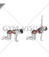 Kneeling Back Rotation Stretch (female)