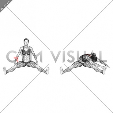 Seated Wide Angle Pose Sequence (female)