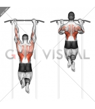 Mixed Grip Chin-up