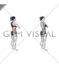 Standing Back Rotation Stretch (female)