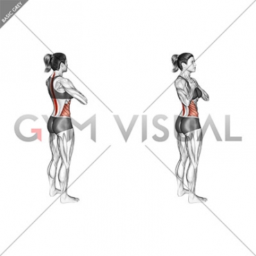 Standing Back Rotation Stretch (female)