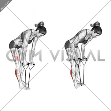 Standing Hamstring and Calf Stretch with Starp (female)