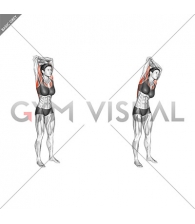 Standing reach up back rotation stretch (female)