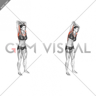 Standing reach up back rotation stretch (female)