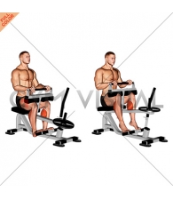 Lever Seated Calf Raise (plate loaded) (VERSION 2)