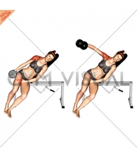 Dumbbell Incline One Arm Lateral Raise (female)