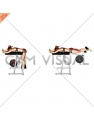Lever Reverse Hyperextension (plate loaded) (female)