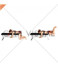 Frog Reverse Hyperextension (on a bench) (female)