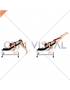 Incline Reverse Hyperextension