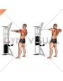 Cable Standing Rear Delt Horizontal Row (with rope)