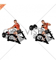 Lever Seated Row (plate loaded)