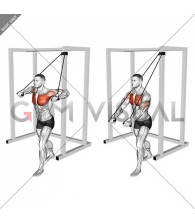 Band Low Chest Press (male)