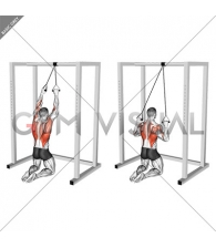 Band Knelling Lat Pulldown