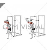 Band overhead triceps extension (VERSION 2) (male)