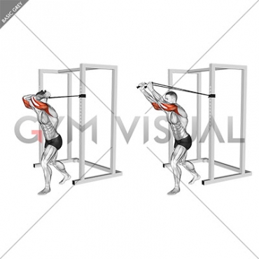 Band overhead triceps extension (VERSION 2) (male)