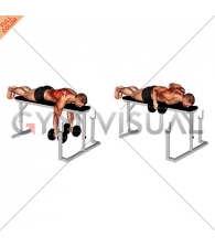 Dumbbell Lying Close-Grip Parallel Row on Rack