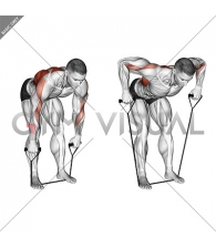 Band Bent Over Wide Grip Row (male)