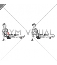 Roll Ball Tibialis Posterior