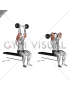 Olympic Barbell Triceps Extension