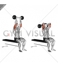 Olympic Barbell Triceps Extension