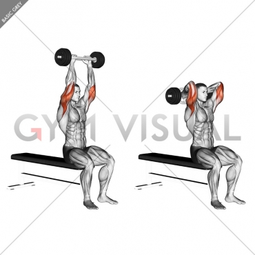 Olympic Barbell Triceps Extension