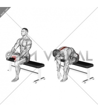 Seated Glute Stretch (VERSION 2)