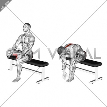 Seated Glute Stretch (VERSION 2)