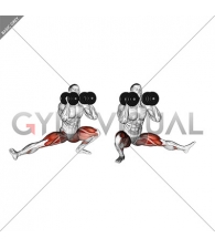 Dumbbell Cossack Squats (male)