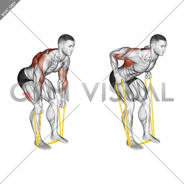 Resistance Band Bent Over Neutral Grip Row