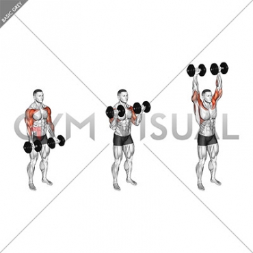 Dumbbell Standing Biceps Curl to Shoulder Press (male)