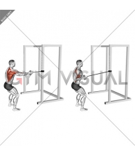 Band Standing Single Arm Row