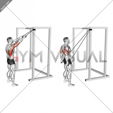Band Standing Straight Arm Pulldown
