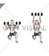 Dumbbell Half Kneeling Military Press