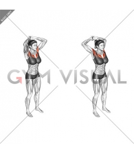 Above Head Chest Stretch (female)