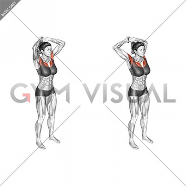 Above Head Chest Stretch (female)