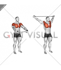 Band Warm-up Shoulder Stretch (male)