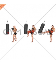 Front Groin Kick Kickboxing (with boxing bag)