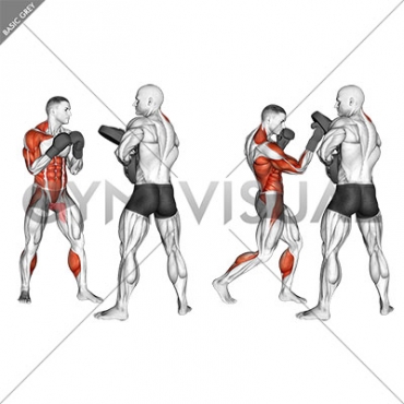 Boxing Right Uppercut (with partner)