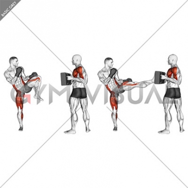 Front Kick Kickboxing (with partner)