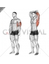 Overhead Triceps Stretch