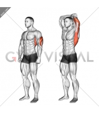 Overhead Triceps Stretch