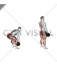 Dumbbell Deadlift